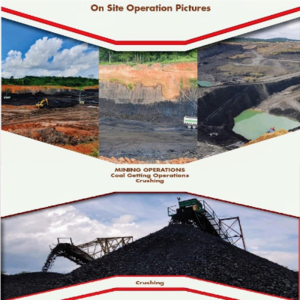 Coal