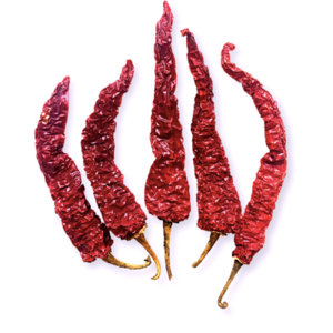 Dry REd Chilli, Kashmiri chilli byadgi chilli Teja Chilli