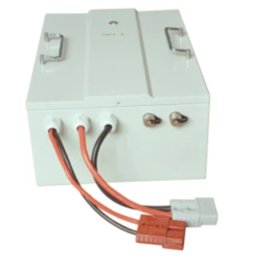 48V100ah Lithium Ion Battery with BMS for Robots, Agv, Golf Carts