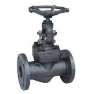 GLOBE VALVE - FLANGED END / FORGED STEEL