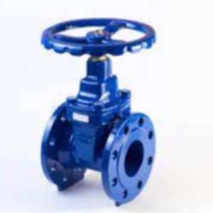 GATE VALVE - FLANGED END / FORGED STEEL