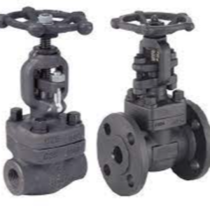 GATE VALVE - FLANGED END / FORGED STEEL