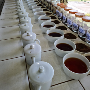Tea Bag Retail