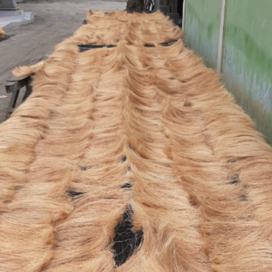 Cocobristle / Bristle Fiber