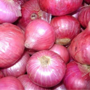 Quality red & White onion
