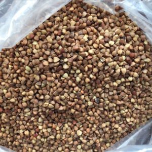 BUCK WHEAT grain roasted buckwheat kernel