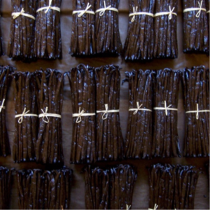 High Quality Vanilla Beans