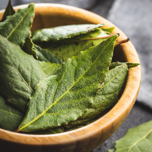 Bay Leaf