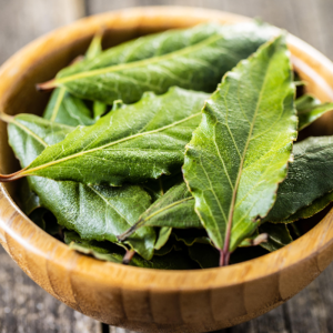 Bay Leaf