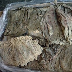 Frozen Salted Beef Omasum