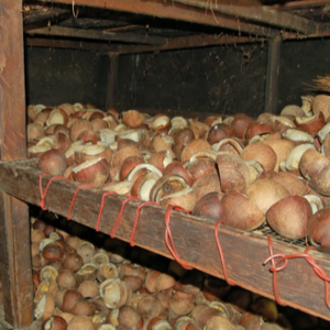 DRY COCONUT