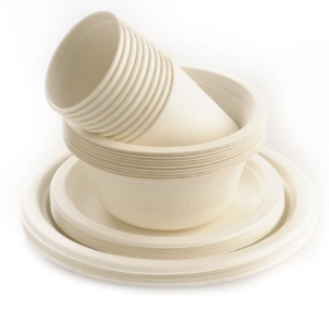 Eco Friendly Sugarcane and Plant based disposable paper cups and paper plates and paper containers