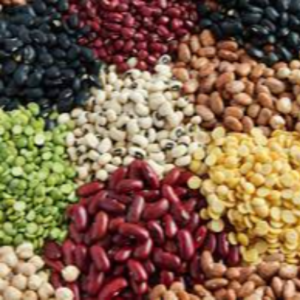 Pulses