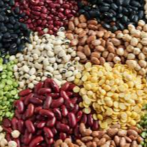 Pulses
