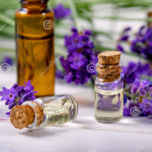 Lavender - Essential Oil