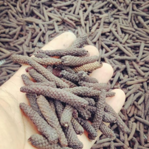 Long Pepper
