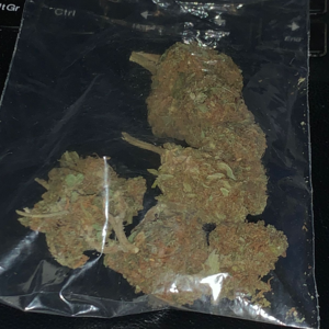 Sativa