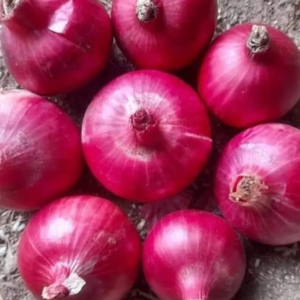 Onion