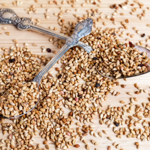 Rosehip Seeds
