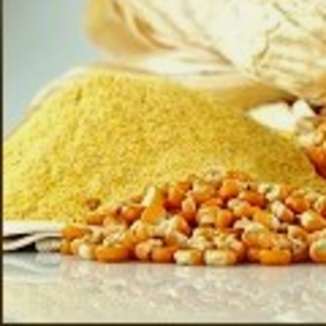 Corn / Maize