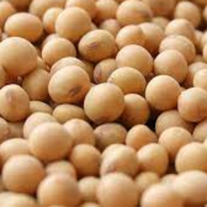 Soybeans
