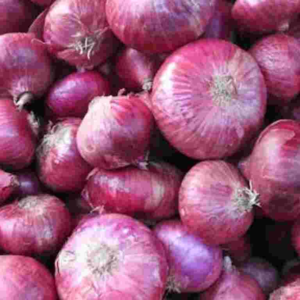 Onion