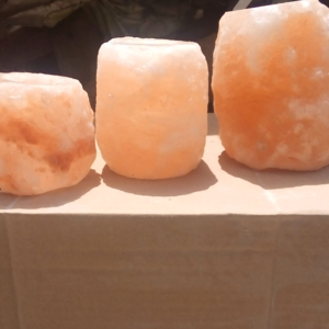 Animal Lick Salt