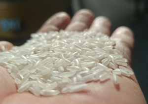 Rice IR 46