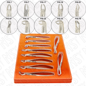 TOOTH EXTRACTION FORCEPS ADULT SET OF 10 PCS EUROPEAN PATTERN