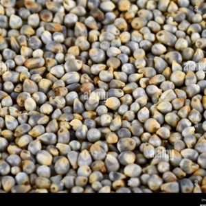 Bajra