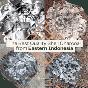 Indonesian Coconut Shell Charcoal By EASTURA