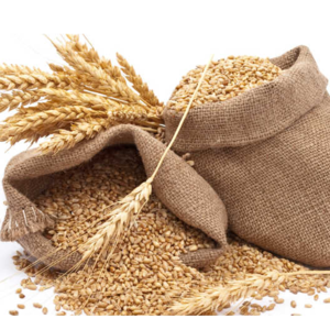 Wheat
