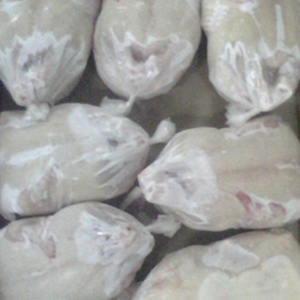 Frozen Chicken Whole