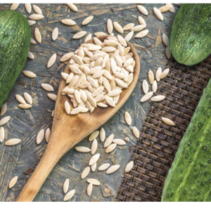 CUCUMBER SEEDS