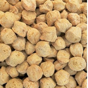 SOYBEAN