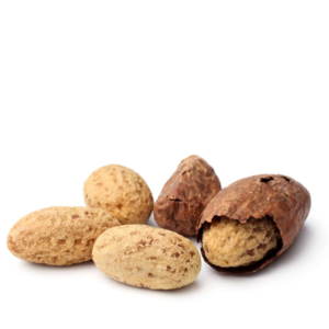 KOLA NUT