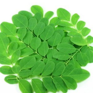 MORINGA