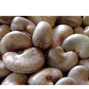 Raw Cashew Nuts