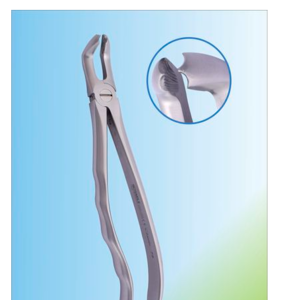 Tooth extraction forceps anatomical handle