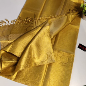 New tissu ikkat border saree