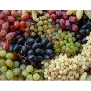 GRAPES