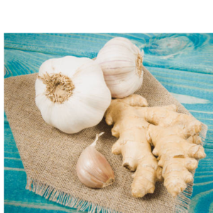 GINGER AND GARLIC