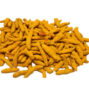 TURMERIC FINGER