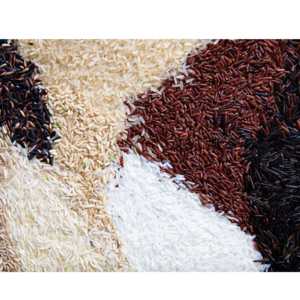 ALL TYPES OF RICE