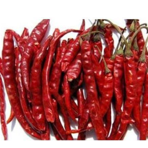 Dry Red Chilly