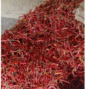 Dry Red Chilly