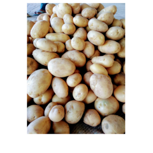 Potato