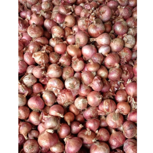 Onion