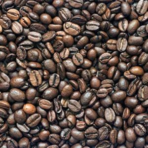 robusta coffee