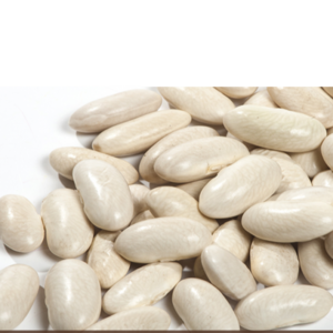 White Kidney Bean